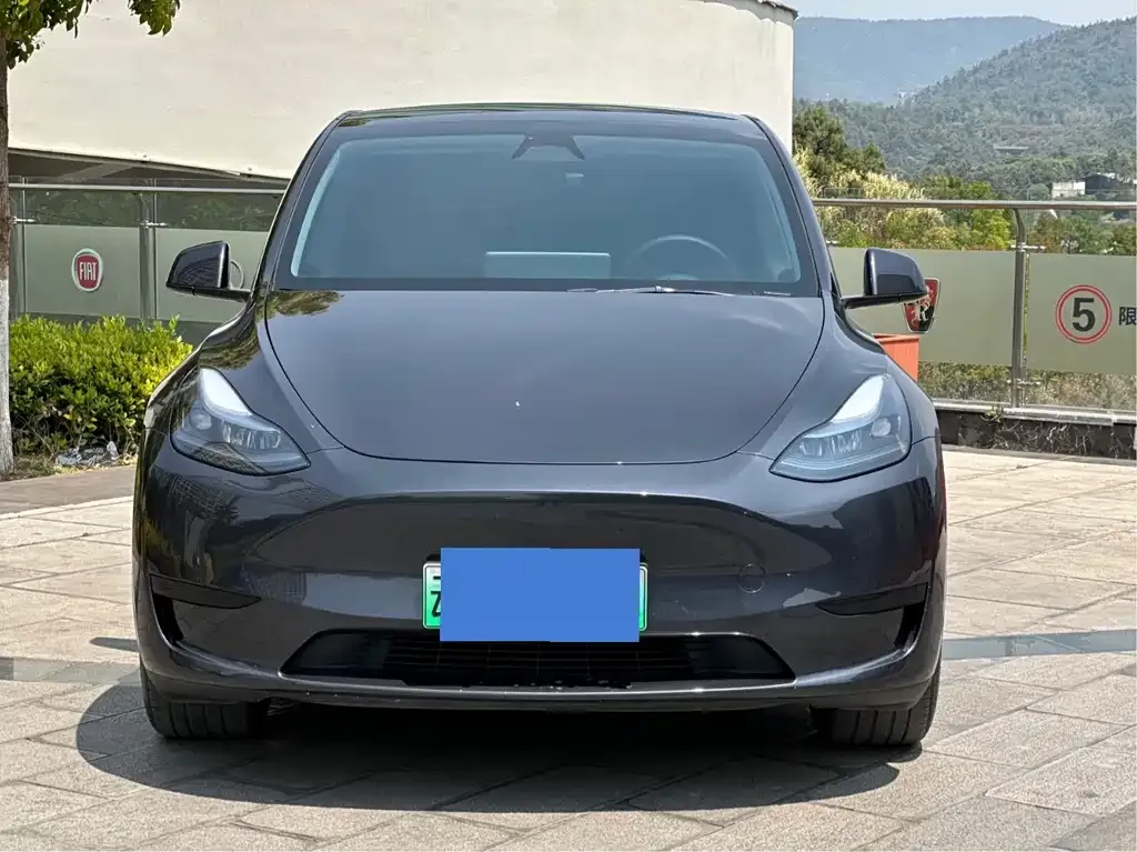 Tesla Model Y — фото 3