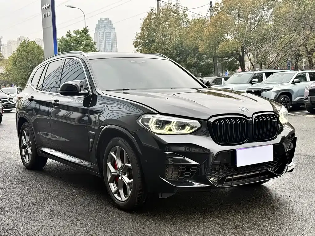 BMW X3 — фото 10