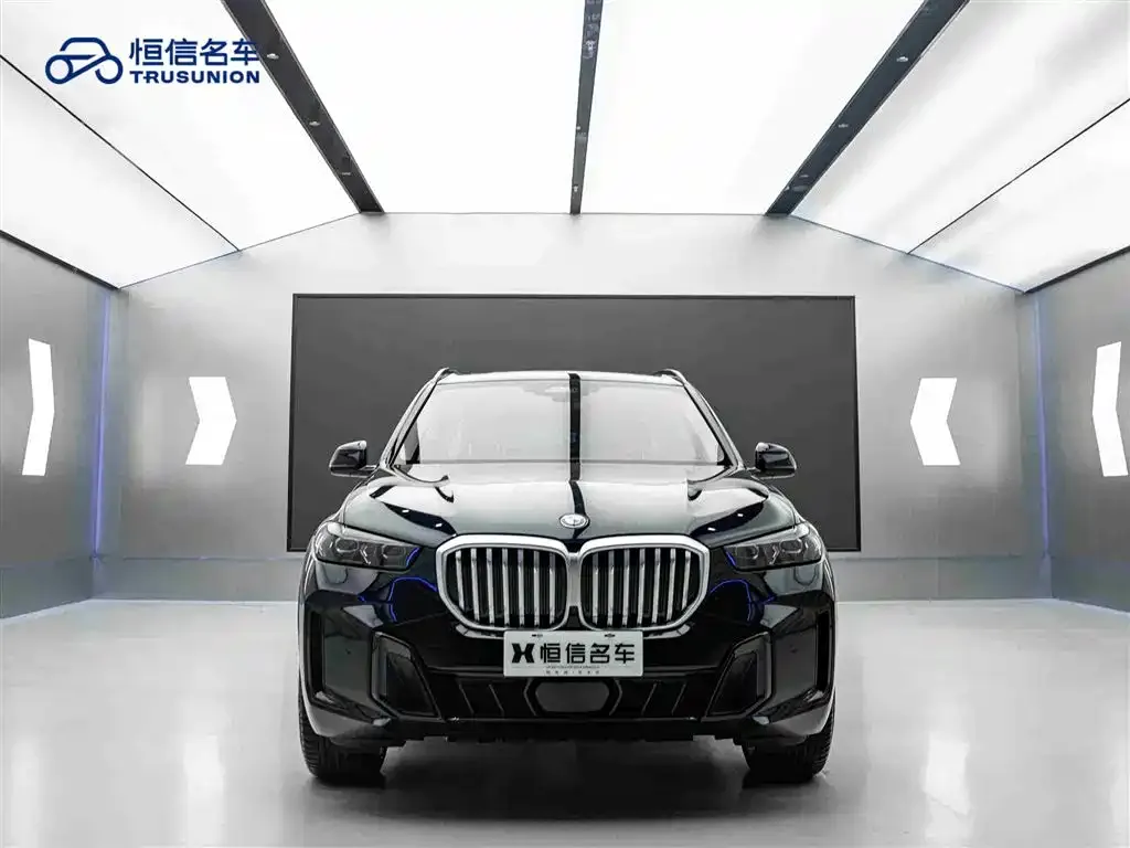 BMW X5 — фото 10