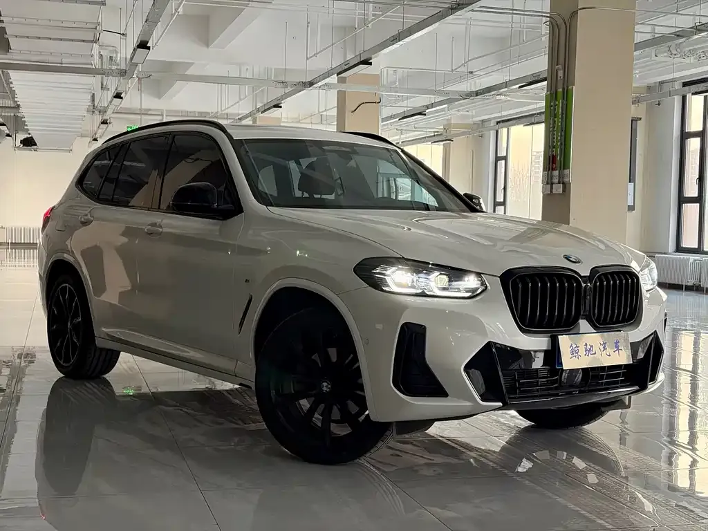 BMW X3 — фото 10