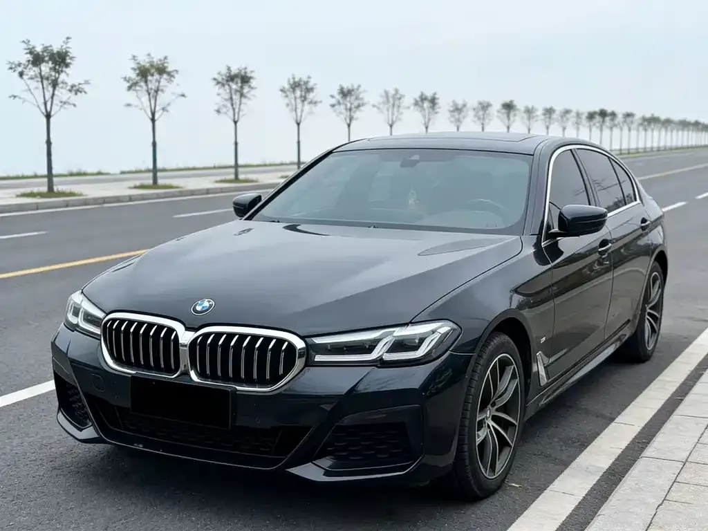 BMW 5 Series — фото 1