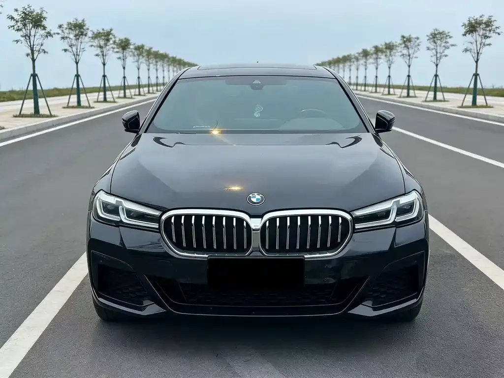 BMW 5 Series — фото 5