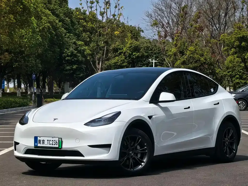 Tesla Model Y — фото 1