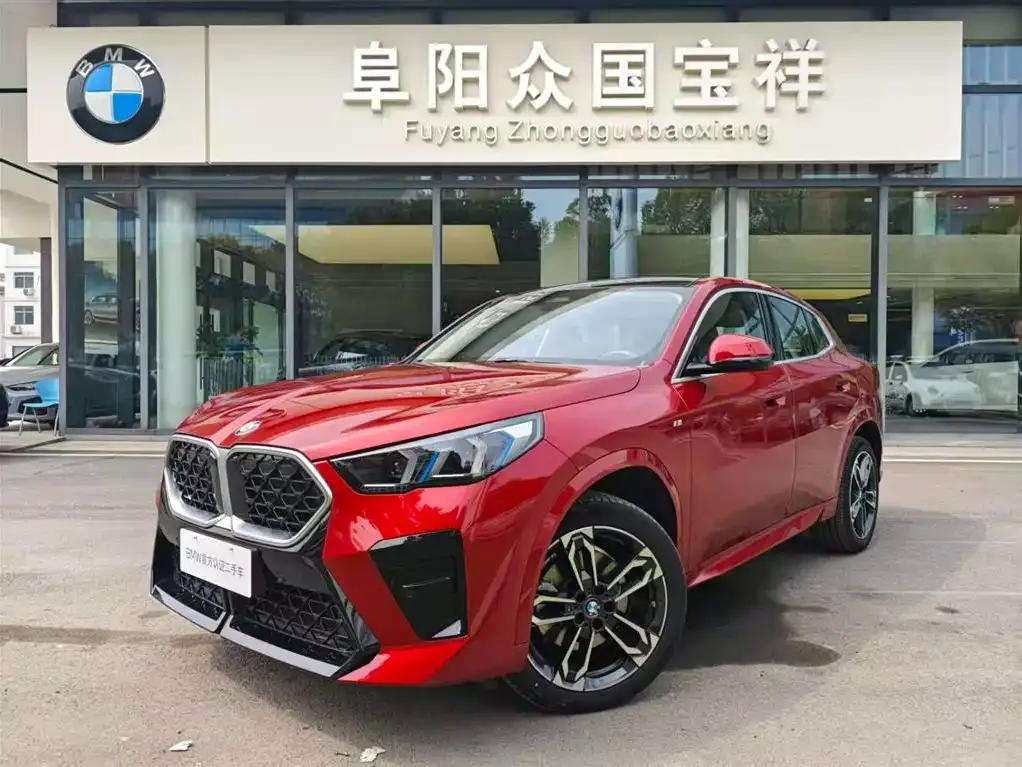 BMW X2 (Import) — фото 1