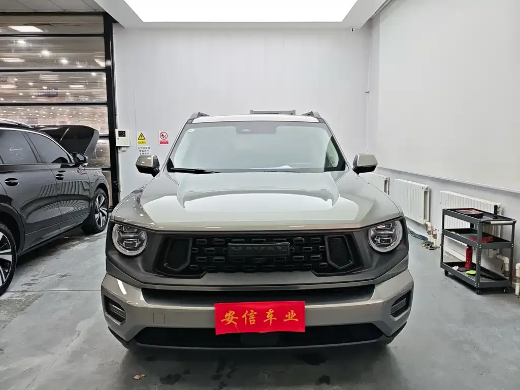 Haval H7 (Big Dog Plus) — фото 8