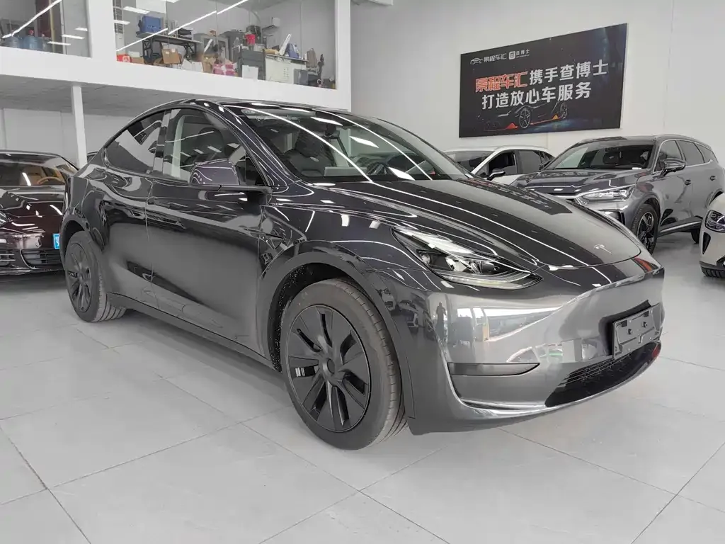 Tesla Model Y — фото 10