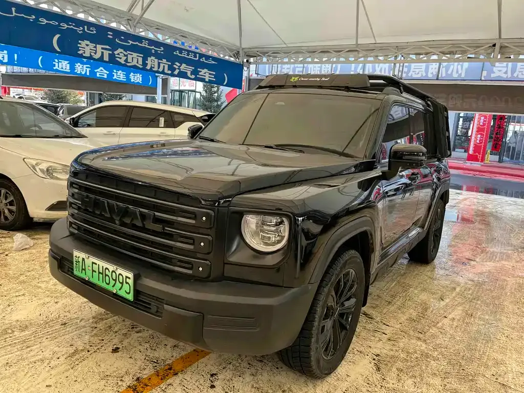Haval Menglong New Energy — фото 1