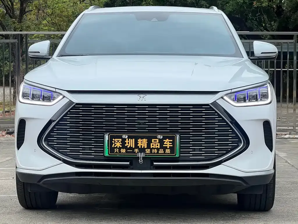BYD PLUS New Energy — фото 2