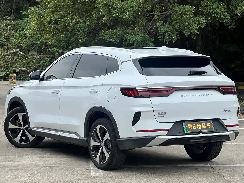 BYD PLUS New Energy — фото 4