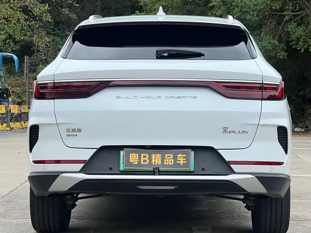 BYD PLUS New Energy — фото 3
