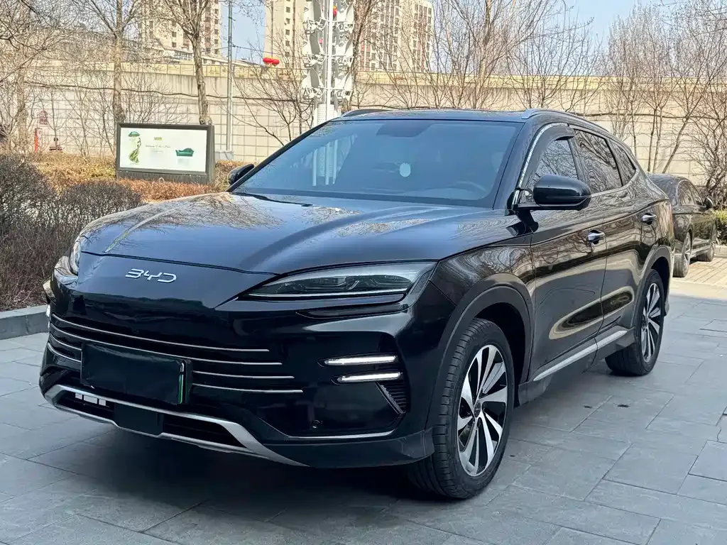 BYD PLUS New Energy — фото 1