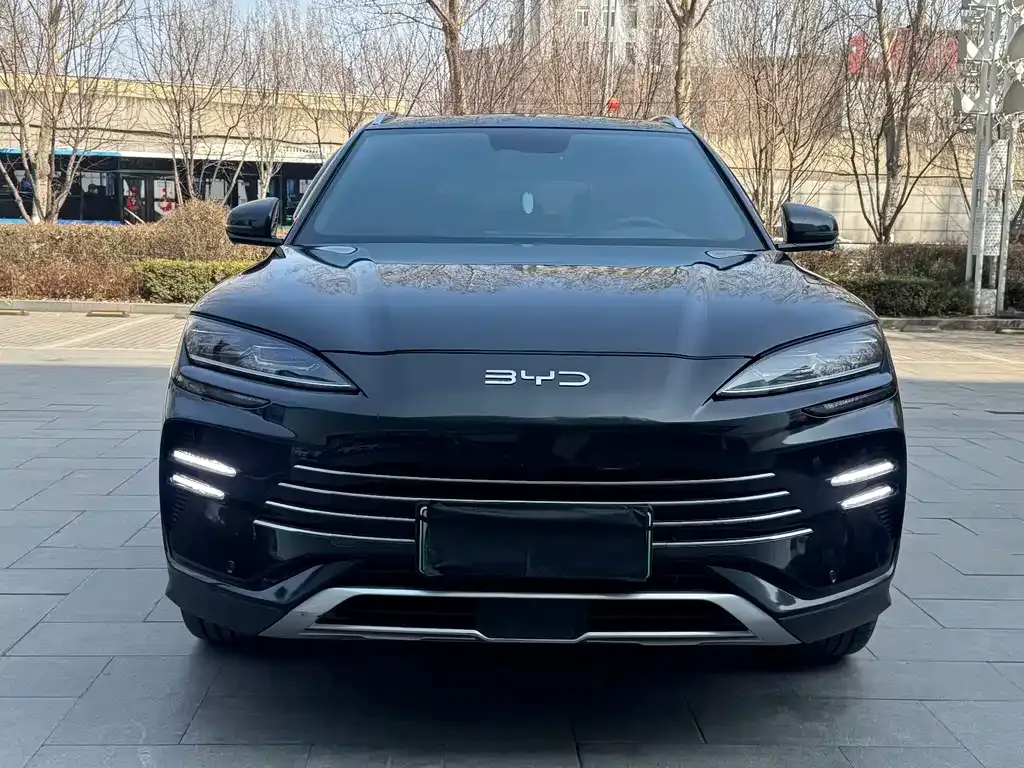 BYD PLUS New Energy — фото 8