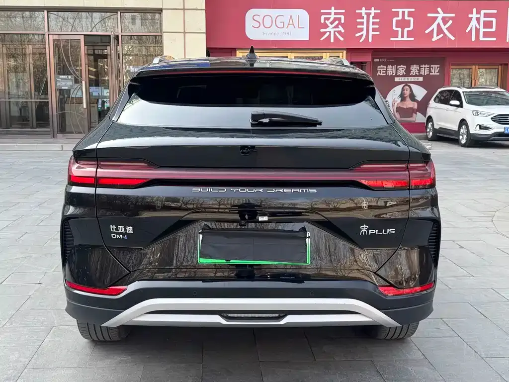 BYD PLUS New Energy — фото 4