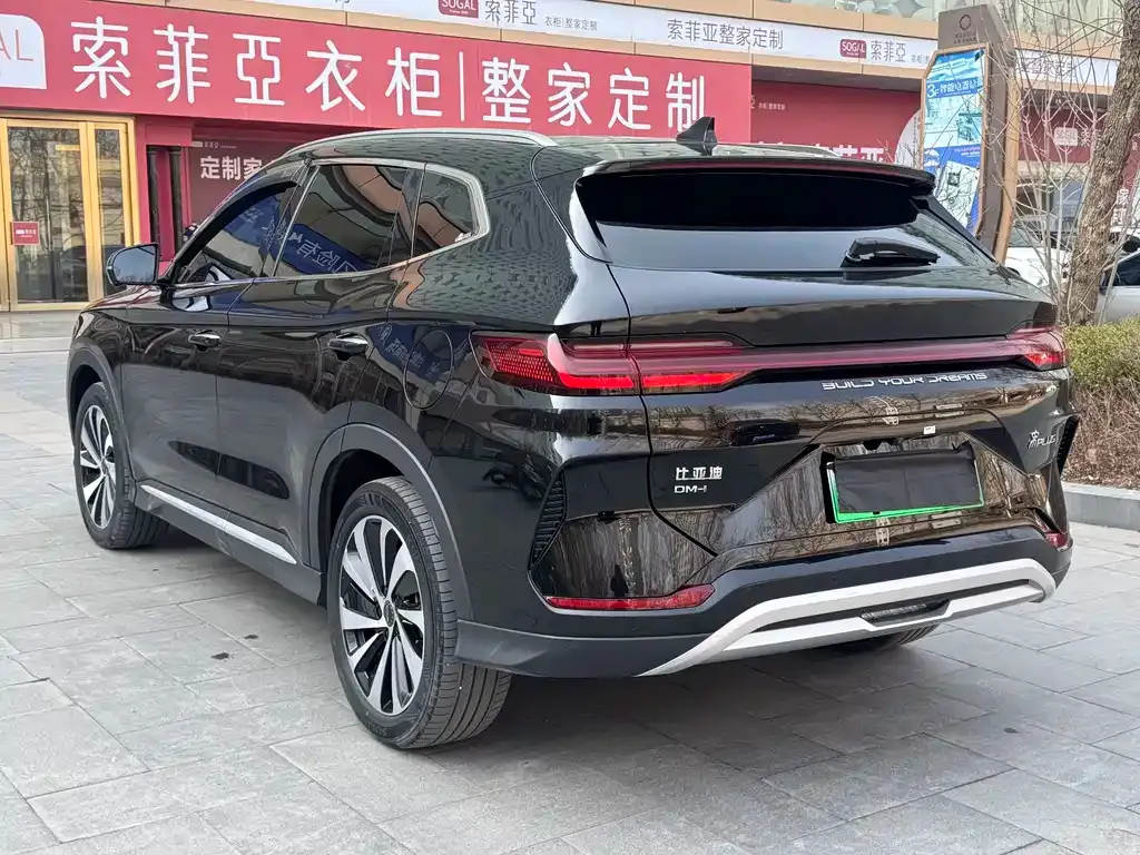 BYD PLUS New Energy — фото 3