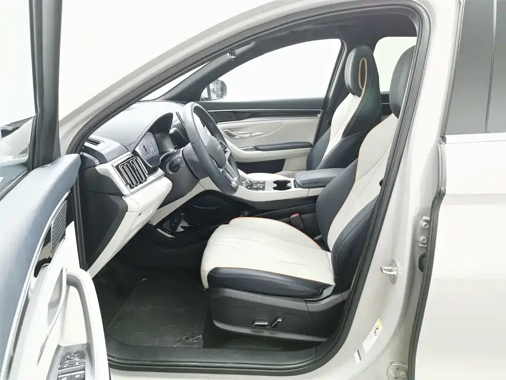 BYD PLUS New Energy — фото 10
