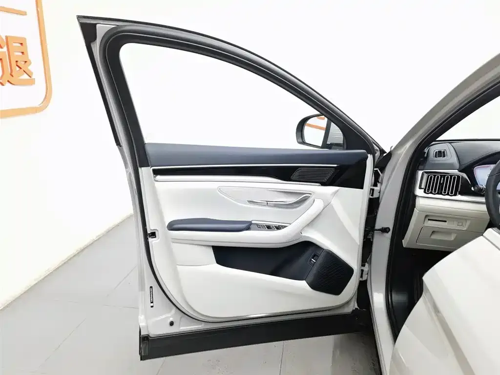 BYD PLUS New Energy — фото 7