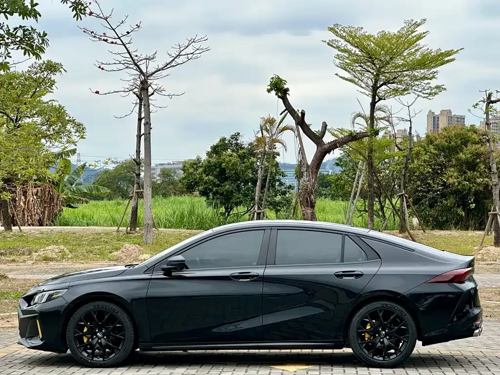 GAC Motor Shadow Leopard — фото 2