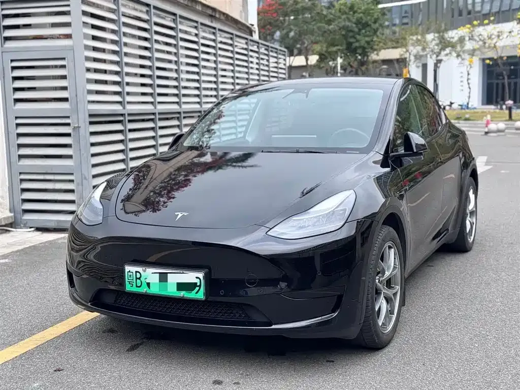 Tesla Model Y — фото 1