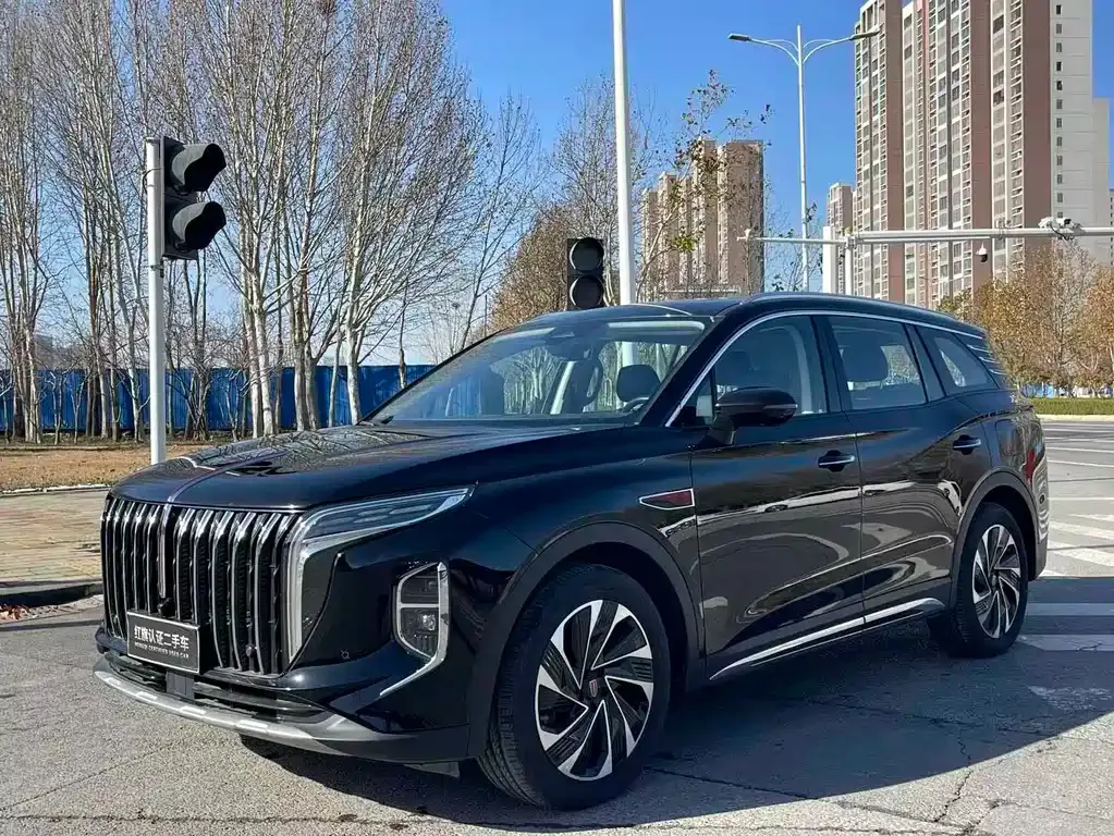 Hongqi HS7 PHEV — фото 7