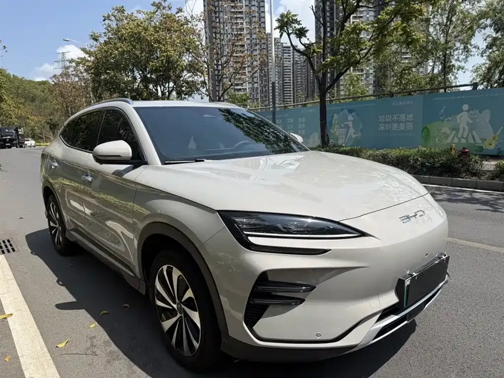 BYD PLUS New Energy — фото 2