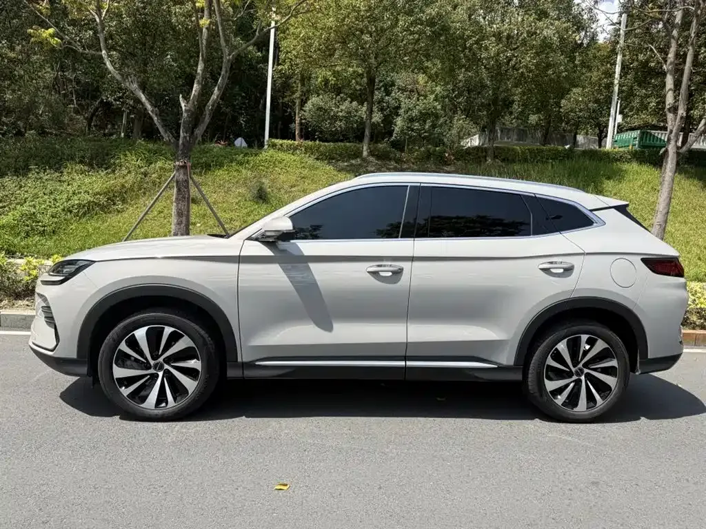 BYD PLUS New Energy — фото 10