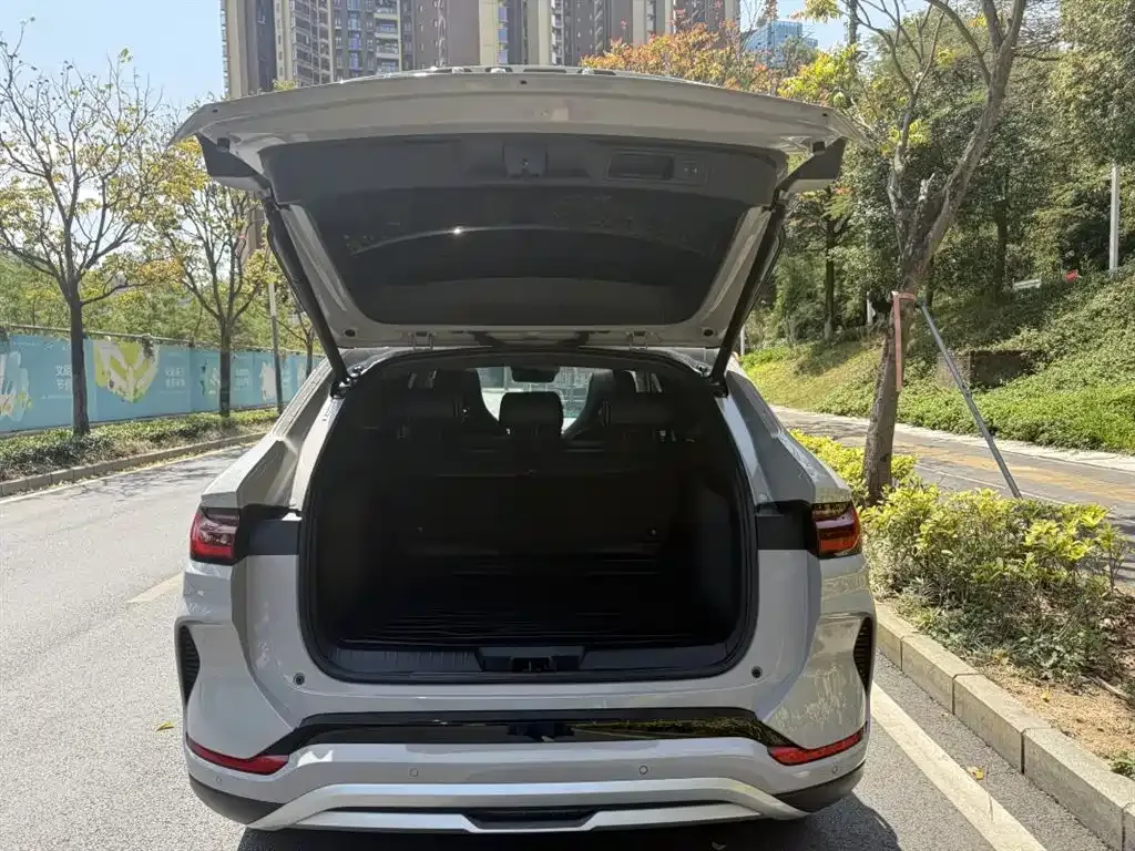 BYD PLUS New Energy — фото 8