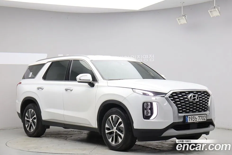 Hyundai Palisade — фото 8
