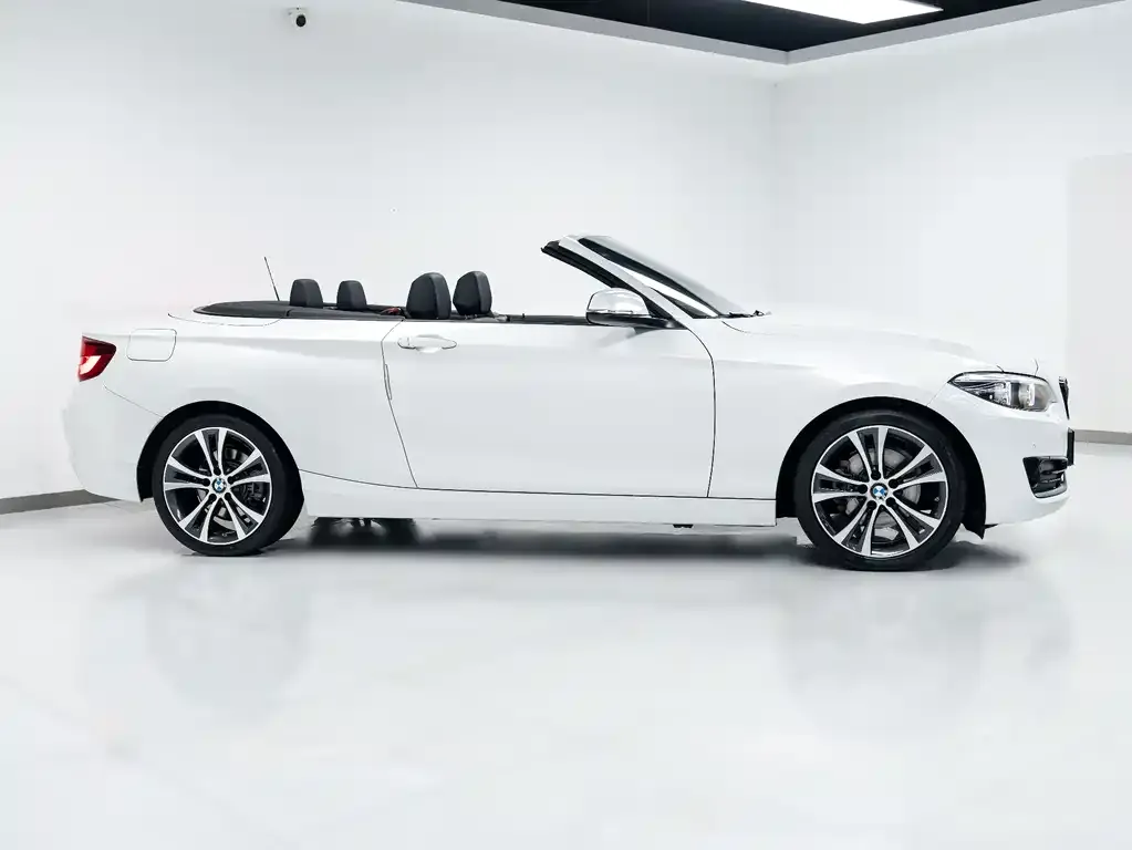BMW 2 Series (Import) — фото 8