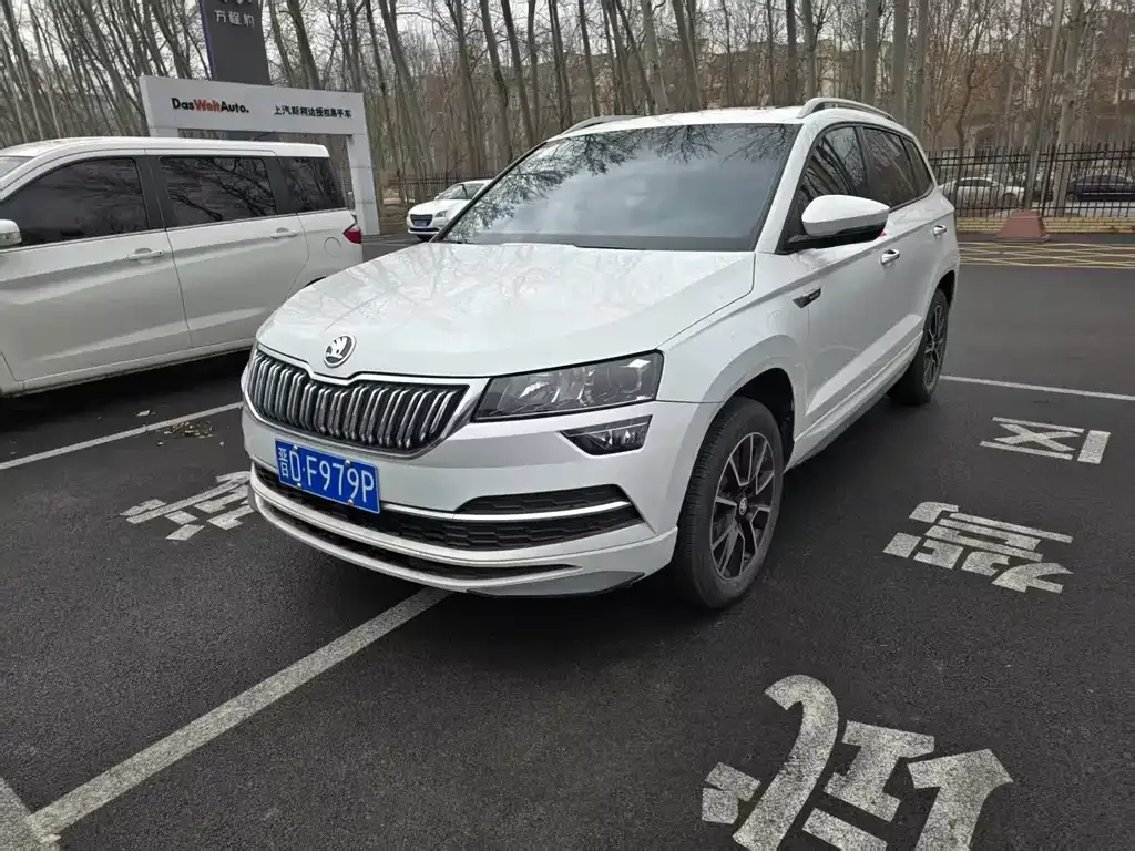Skoda Karoq — фото 1