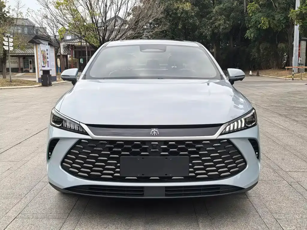 BYD Qin PLUS — фото 3