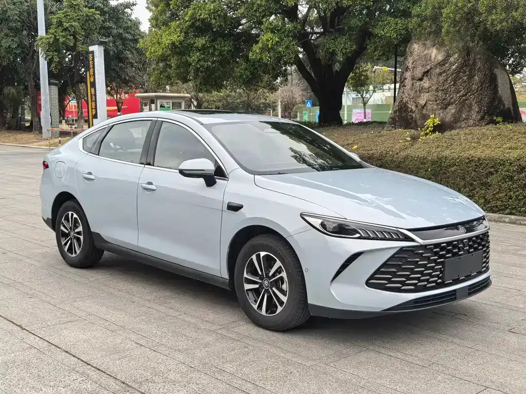 BYD Qin PLUS — фото 9