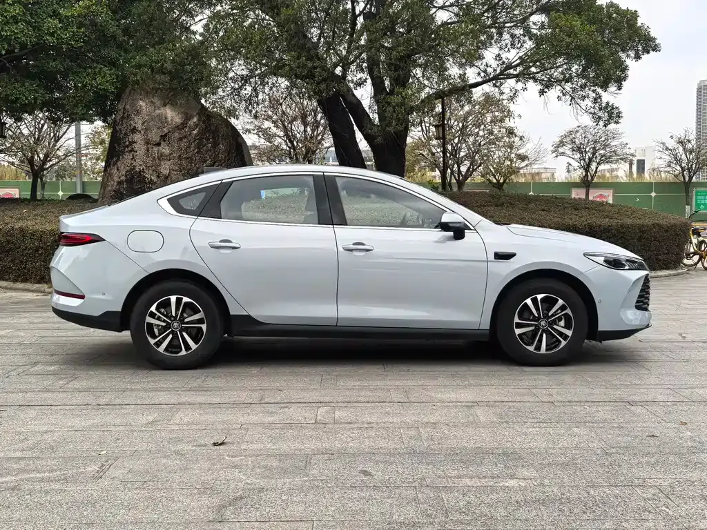 BYD Qin PLUS — фото 6