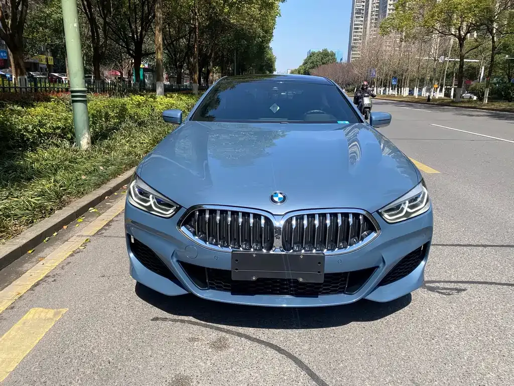 BMW 8 Series — фото 5