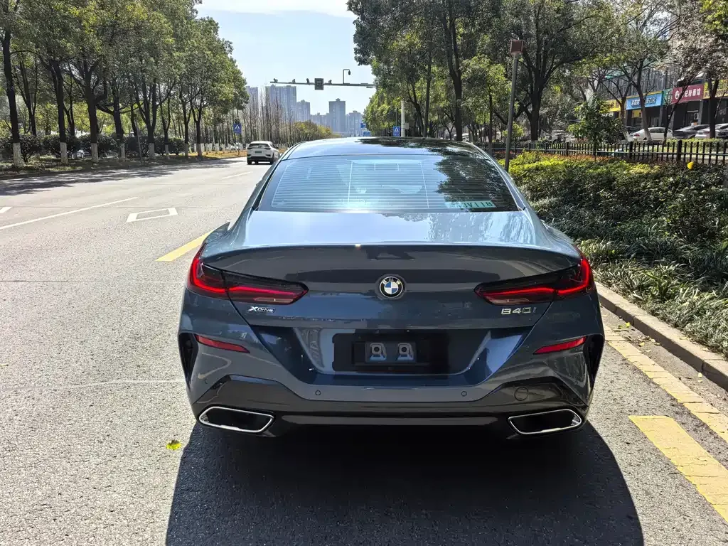 BMW 8 Series — фото 9