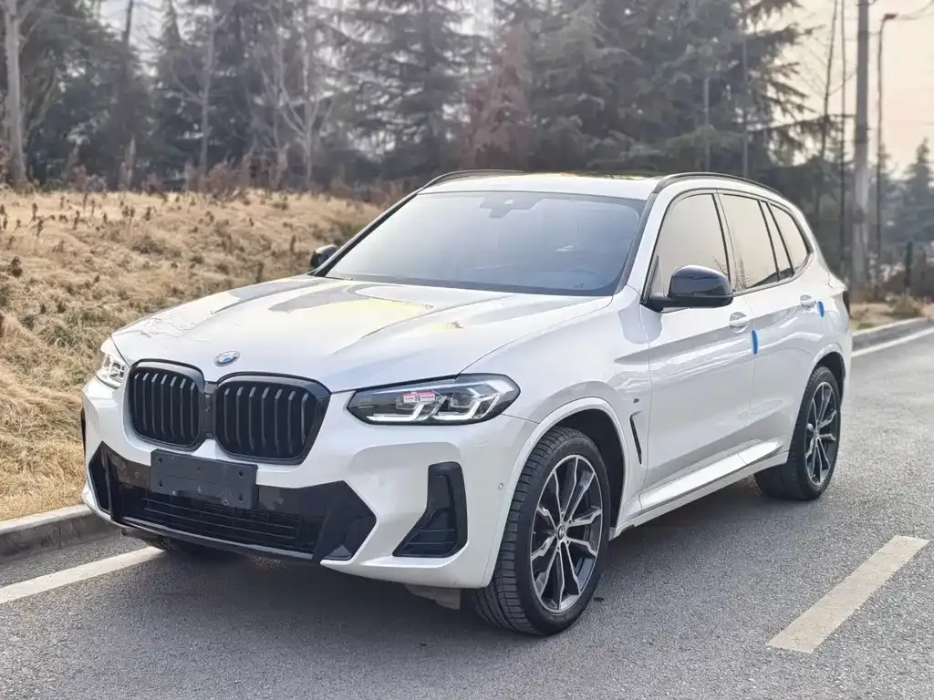 BMW X3 — фото 1