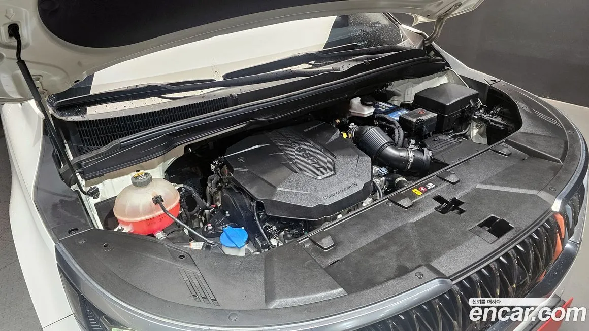 Kia Carnival — фото 10