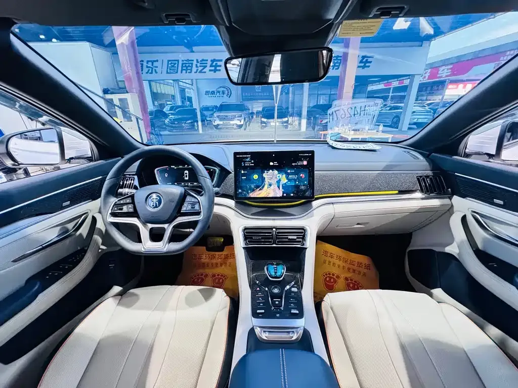 BYD PLUS New Energy — фото 3