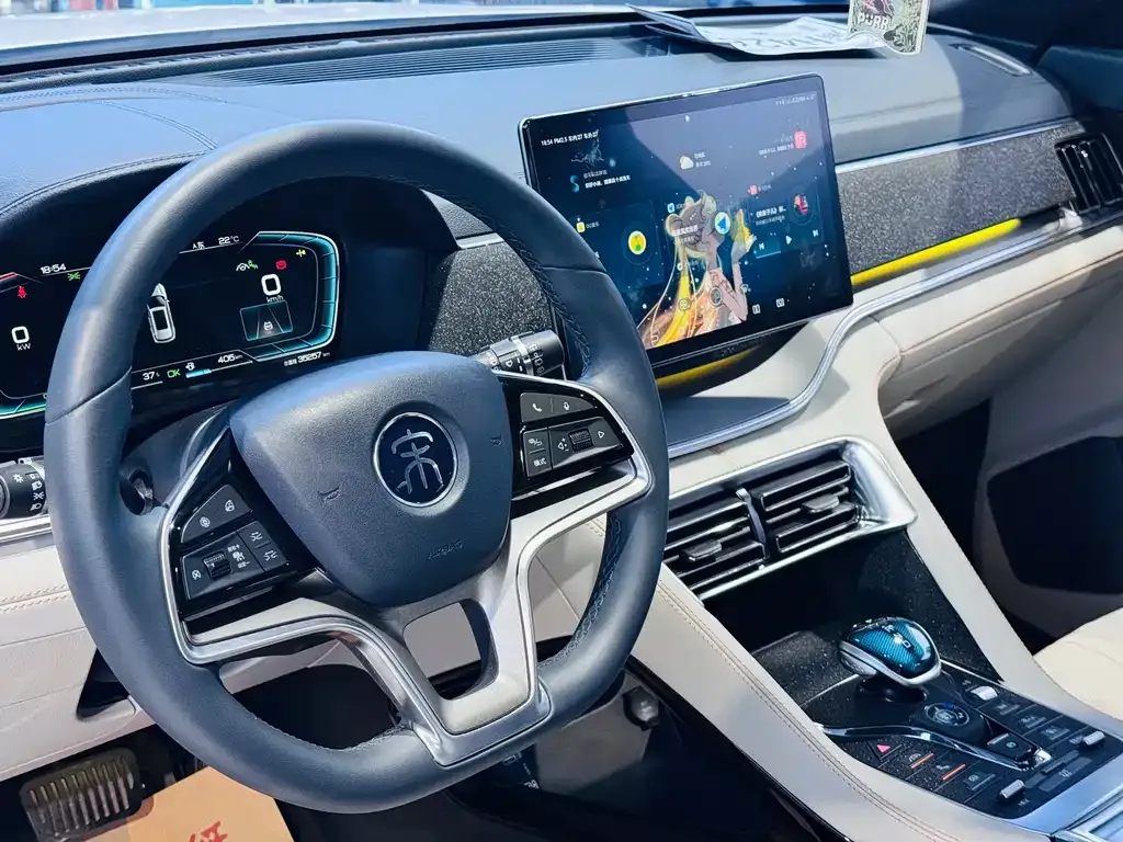 BYD PLUS New Energy — фото 8