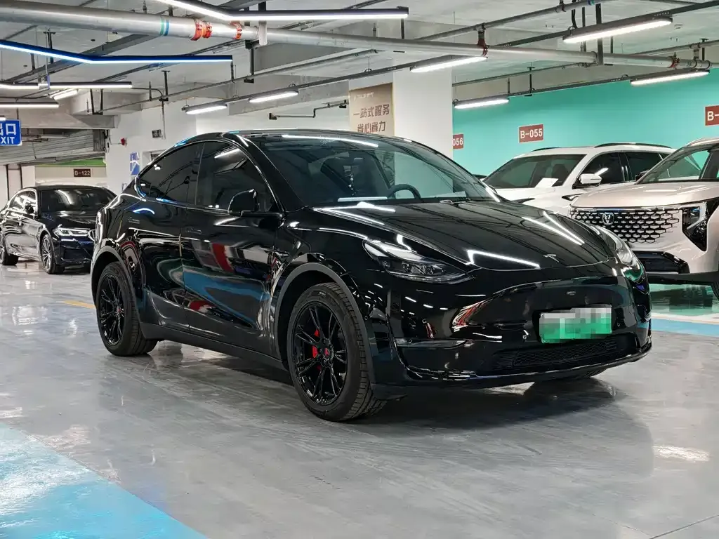 Tesla Model Y — фото 8