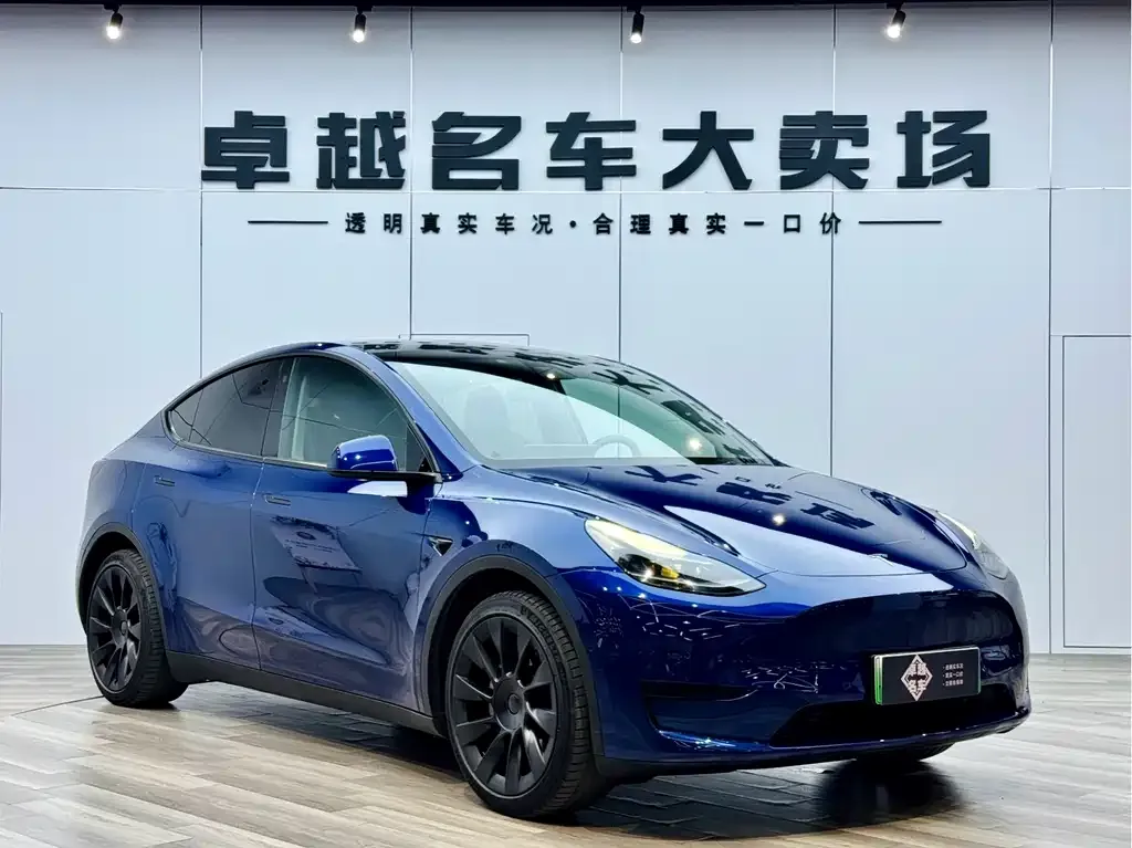Tesla Model Y — фото 1