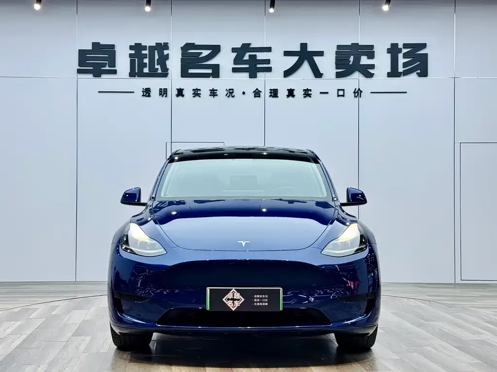 Tesla Model Y — фото 3