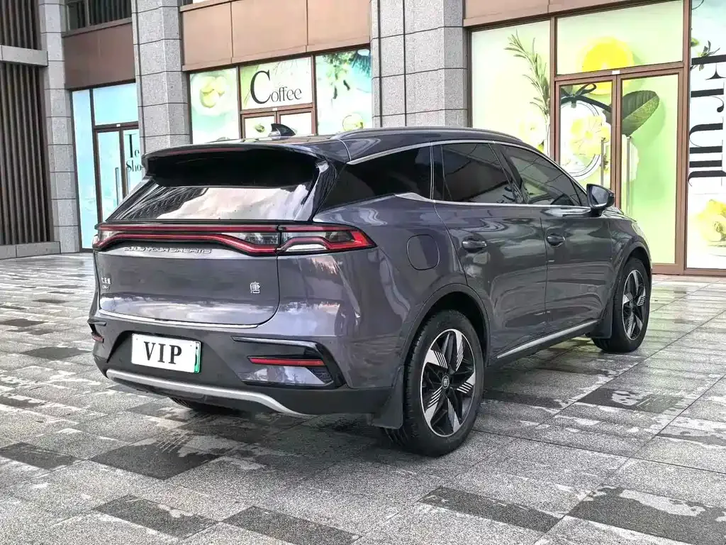 BYD Tang New Energy — фото 10