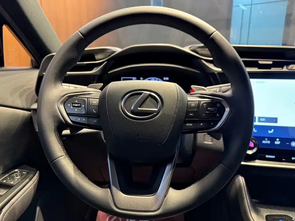 Lexus RZ — фото 6
