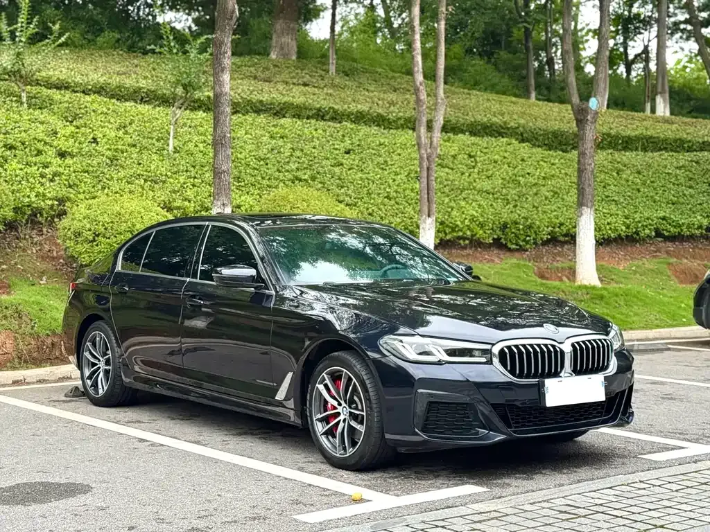 BMW 5 Series — фото 4