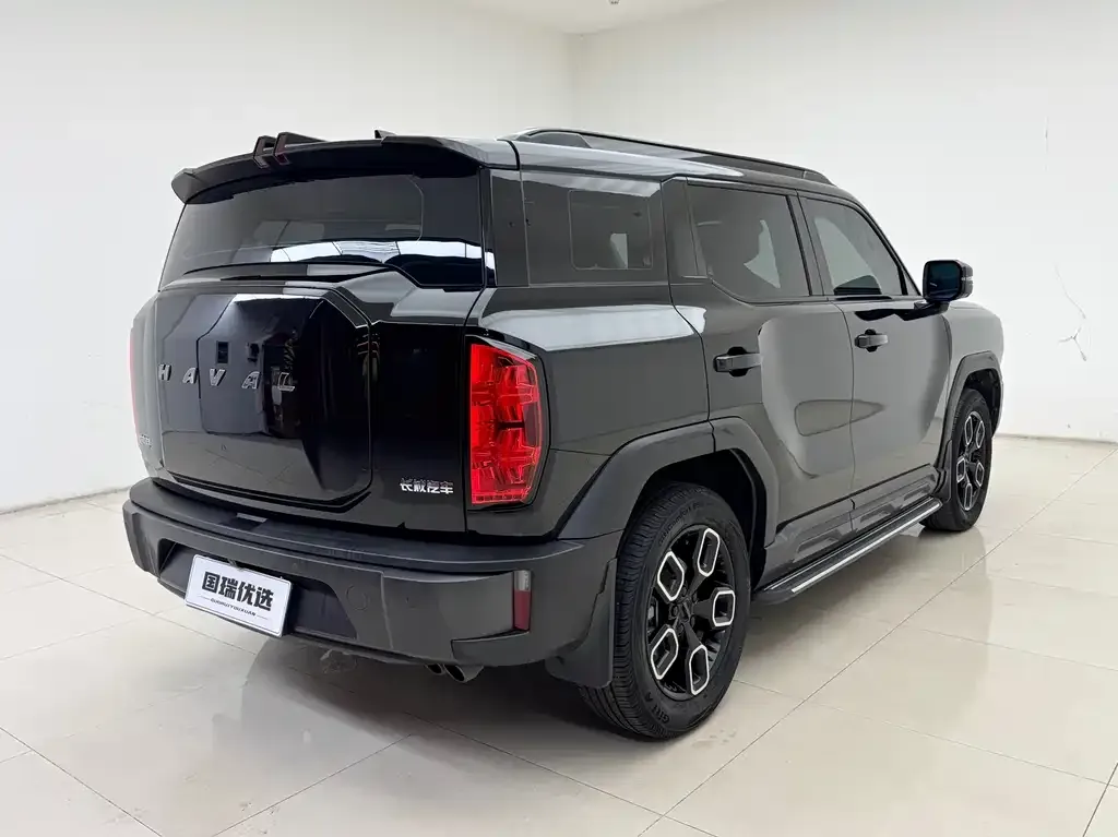 Haval Cool Dog — фото 10