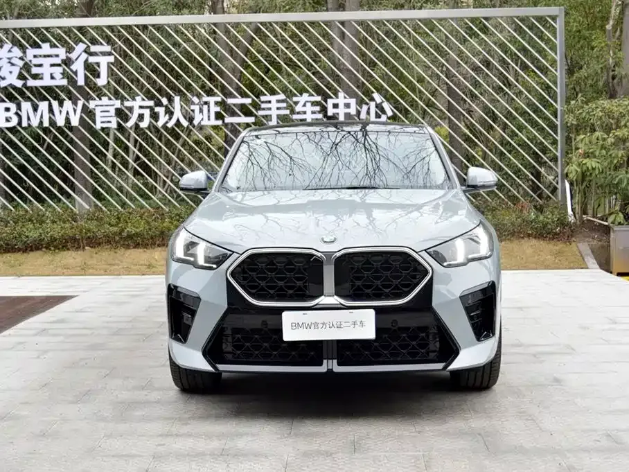 BMW X2 (Import) — фото 7