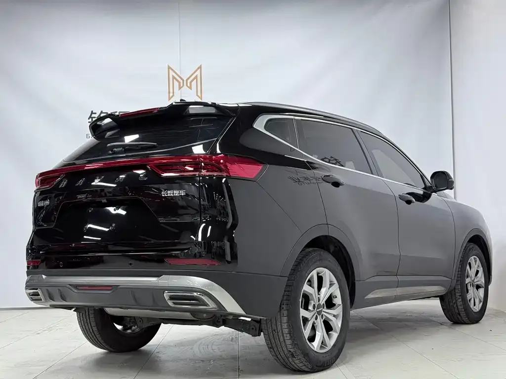 Haval H6 — фото 5