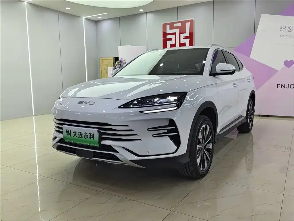 BYD PLUS New Energy — фото 1