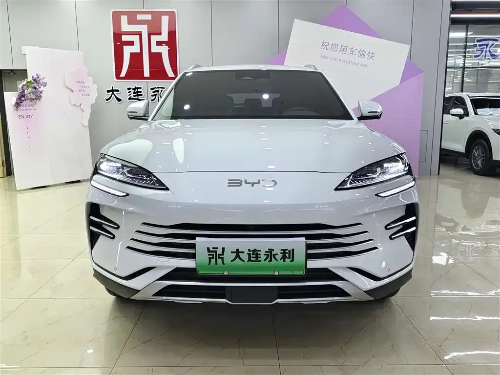 BYD PLUS New Energy — фото 2