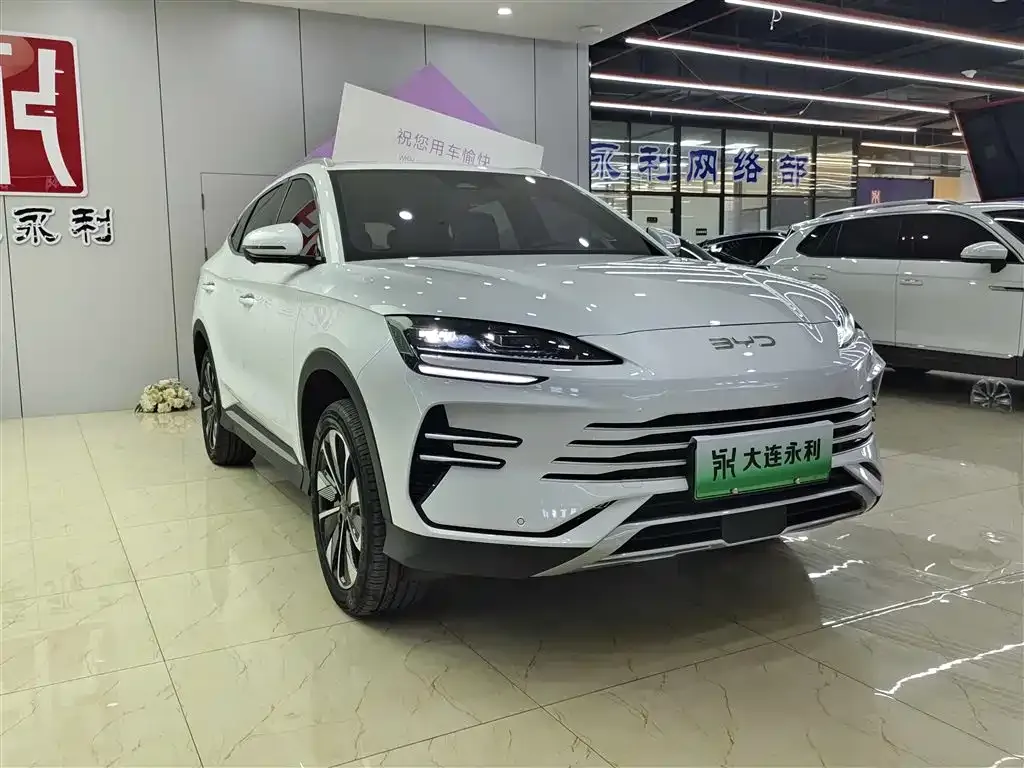 BYD PLUS New Energy — фото 10